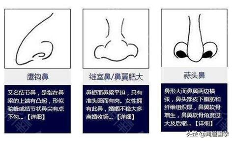 露鼻孔 面相|相学最有福气的7种鼻子 面相中最有福气的7种鼻子